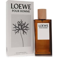 Loewe Pour Homme Cologne by Loewe