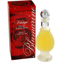 Bluemarine Vintage Perfume by Schiapparelli Pikenz
