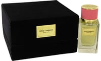 Dolce & Gabbana Velvet Rose Perfume by Dolce & Gabbana
