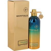 Montale Aoud Lagoon Perfume by Montale