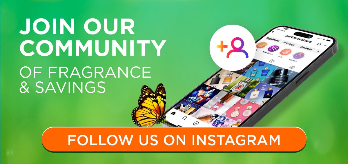 See What's Trending on Instagram