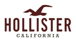 hollister pacific shore