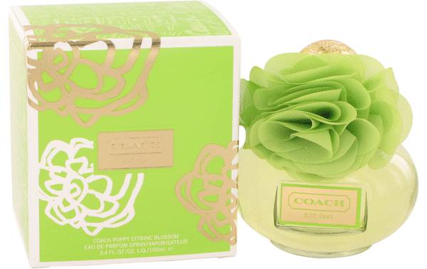 coach citrus perfume