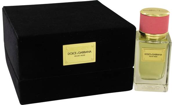 Dolce gabbana discount velvet rose