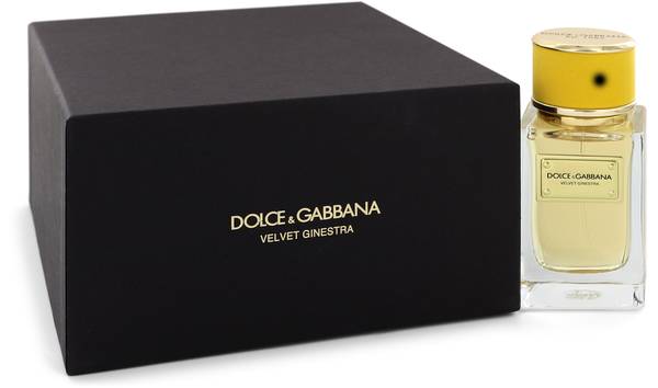 d&g velvet perfume