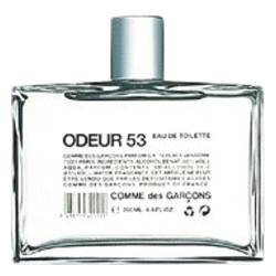 Odeur 53 Comme Des Garcons Perfumes for Women