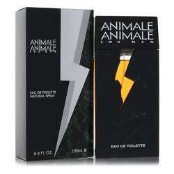 Animale Animale - Animale Cologne