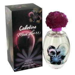Cabotine Moon Flower