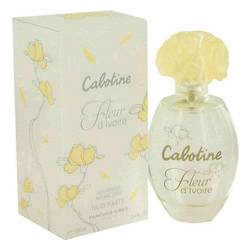 Cabotine Fleur D'ivoire
