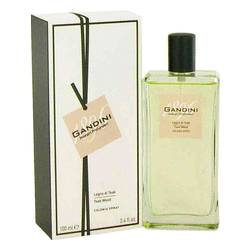 Gandini Teak Wood - Gandini Perfumes