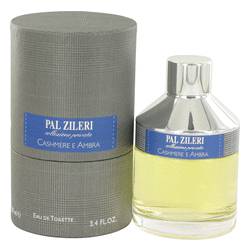 Pal Zileri Cashmere E Ambra Mavive Cologne for Men