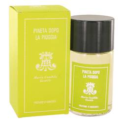Pineta Dopo La Pioggia - Maria Candida Gentile Perfumes