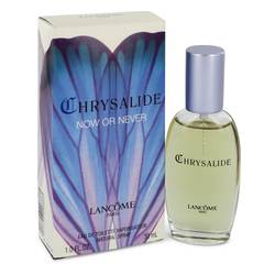 Chrysalide Now Or Never