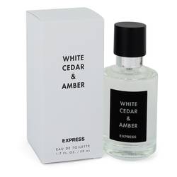 White Cedar & Amber