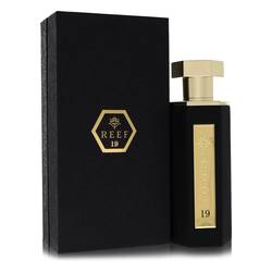 Reef 19 Parfum - Reef Perfumes