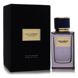 Dolce & Gabbana Velvet Blue Musk - Dolce And Gabbana Unisex Fragrance