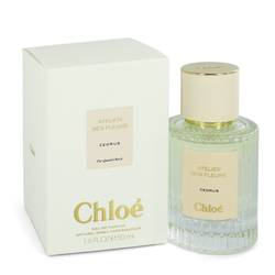 Chloe Cedrus Perfume 1.6 oz Eau De Parfum Spray