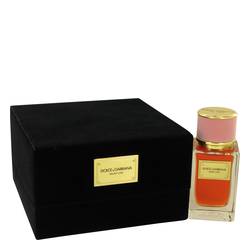 Dolce & Gabbana Velvet Love Perfume 1.6 oz Eau De Parfum Spray